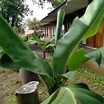 Hostal Tu\'U Koihu