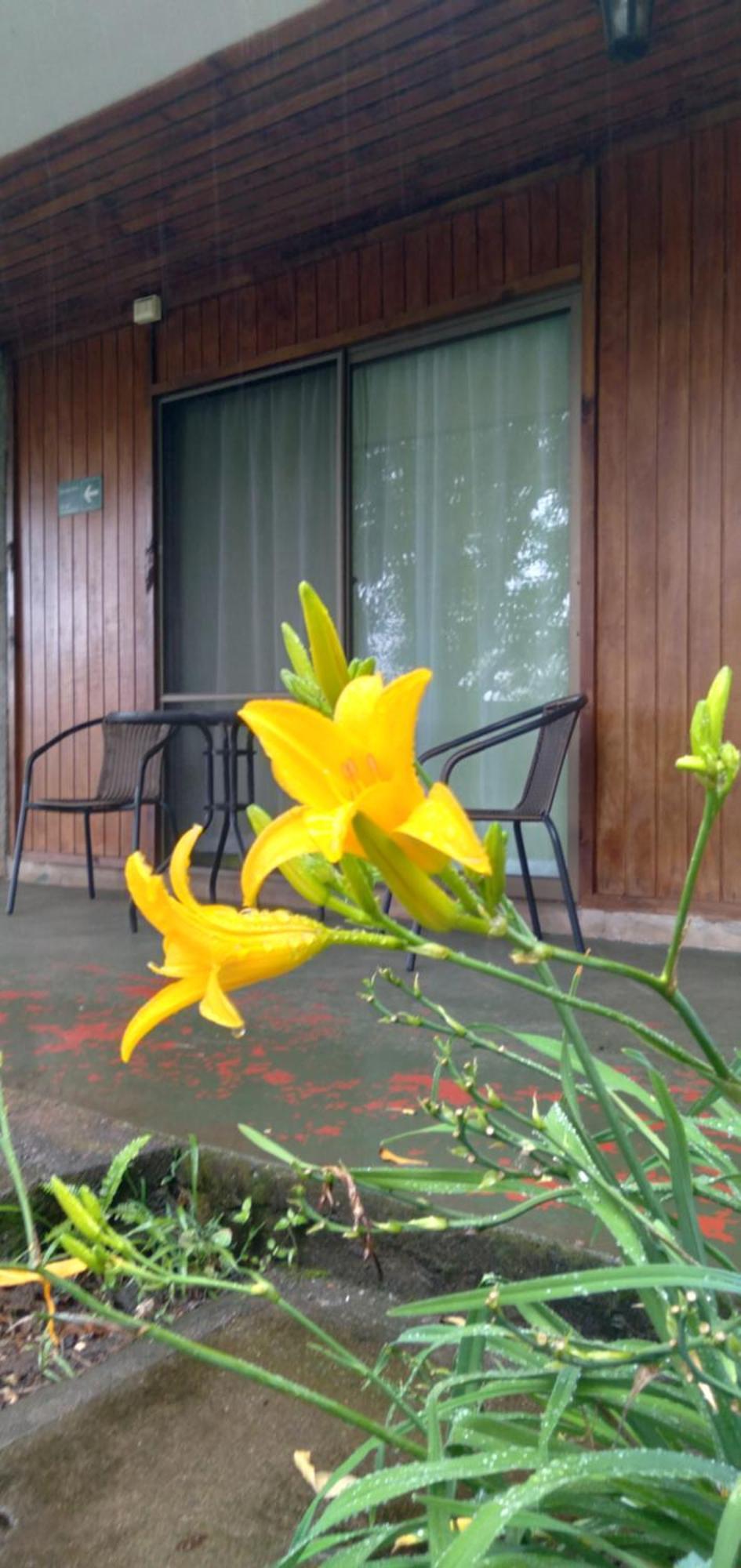 Hotel Tu'u Koihu