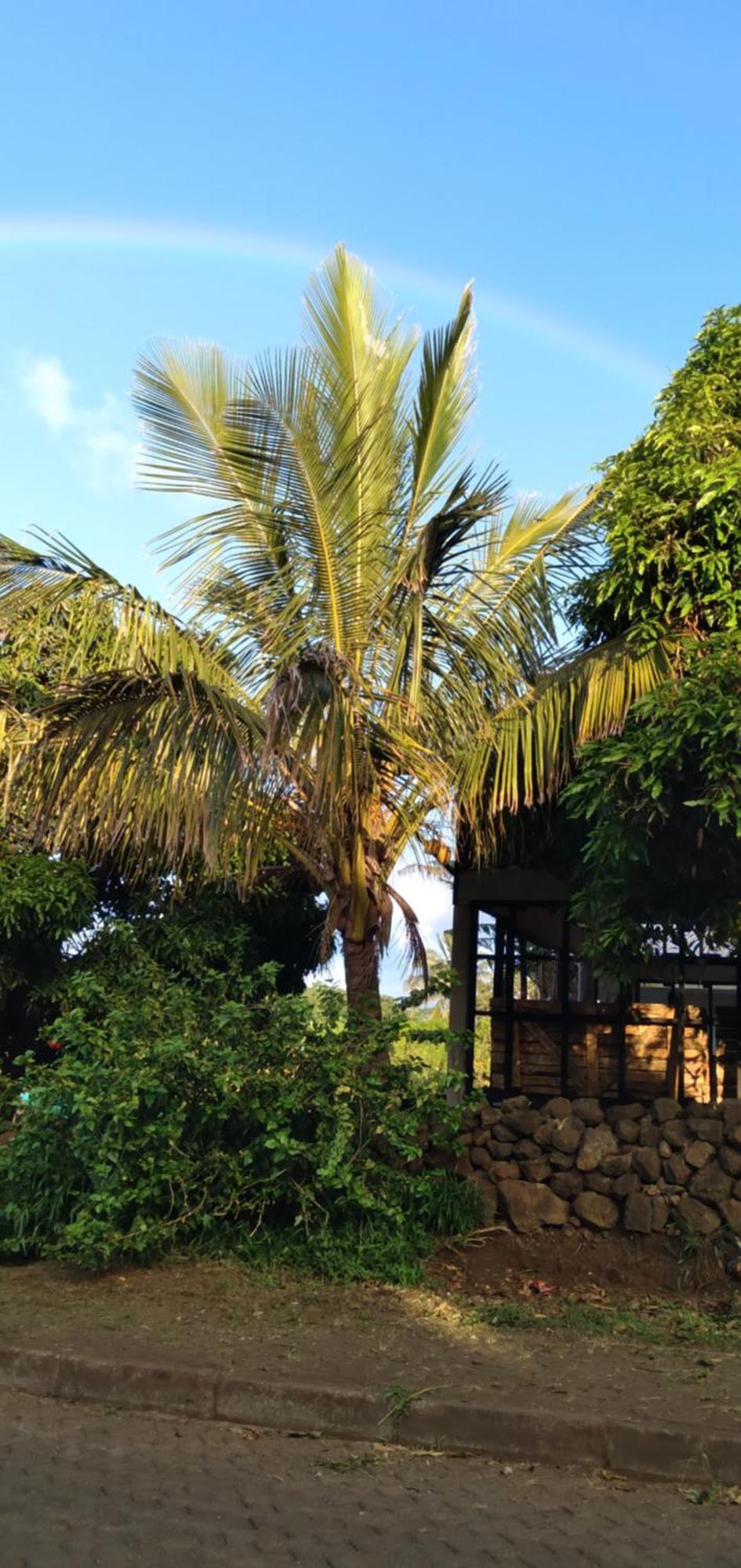 Tu'u Koihu Hotel