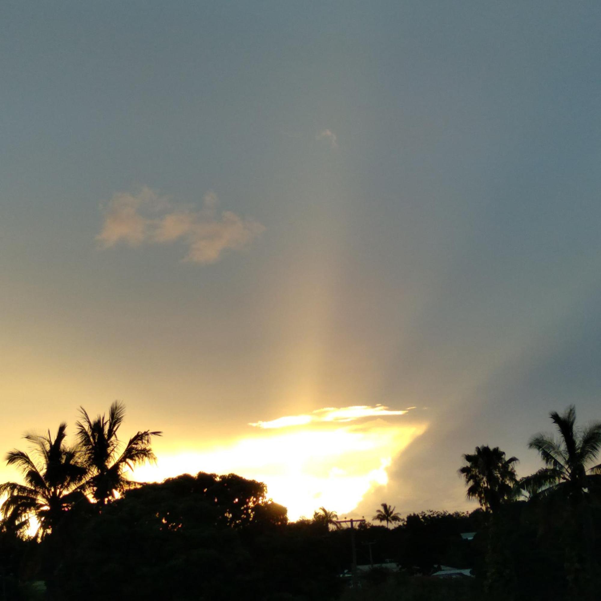 Tu'u Koihu