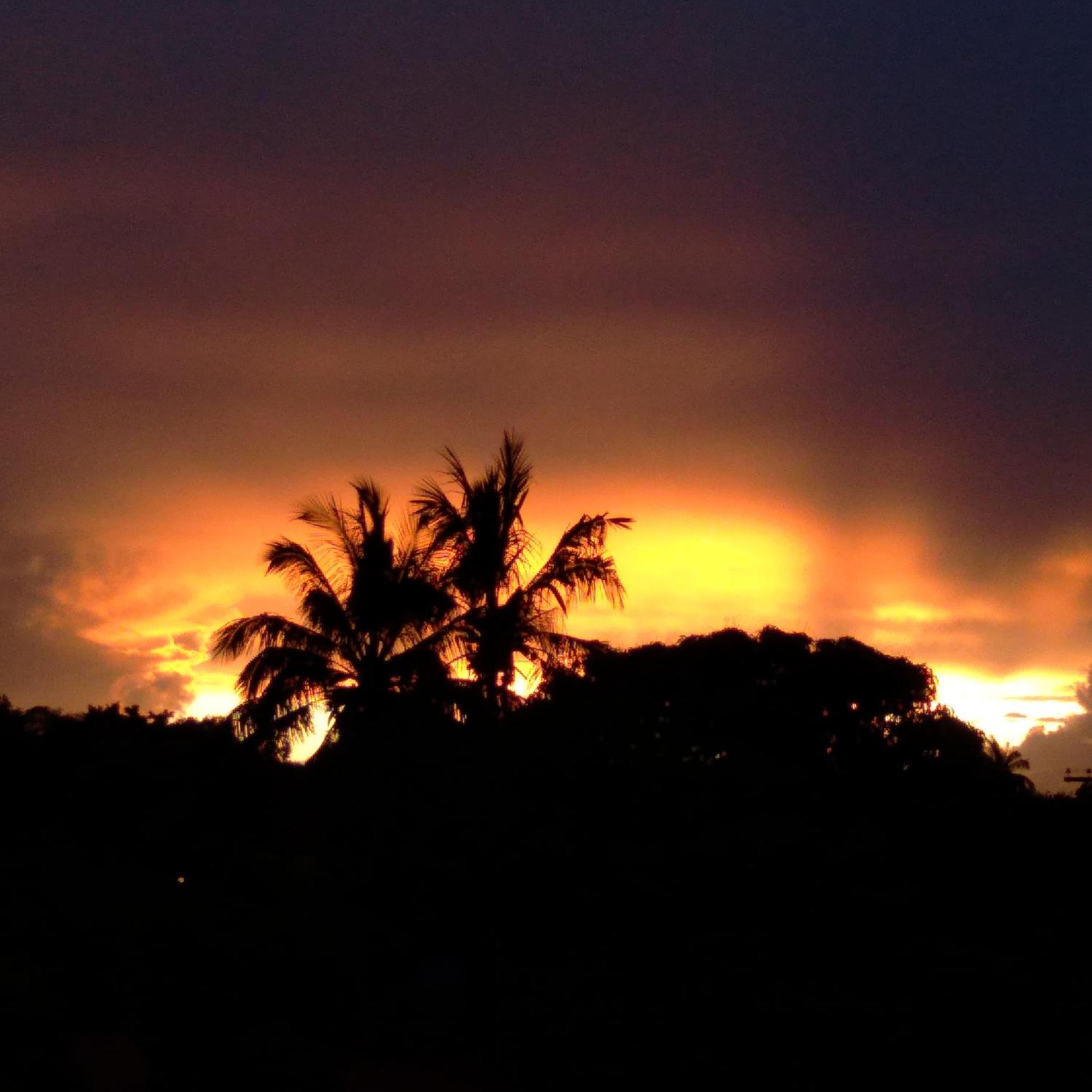Tu'u Koihu Hotel *