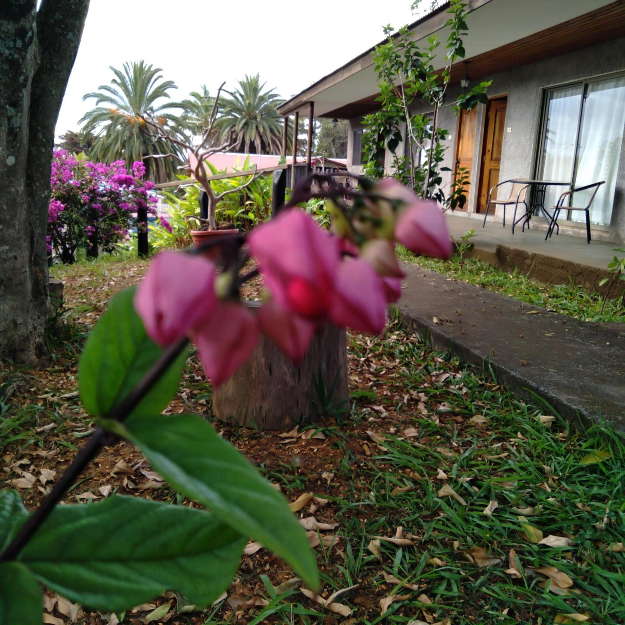 Tu'u Koihu Hotel